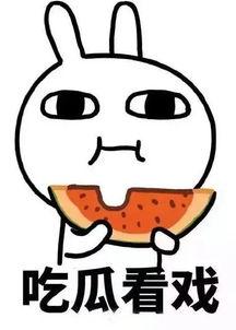 娱乐吃瓜酱参考